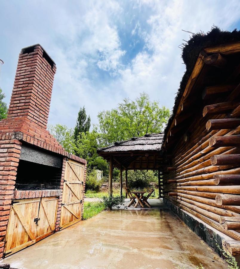 멘도사 Cabana 17 Potrerillos 빌라 외부 사진